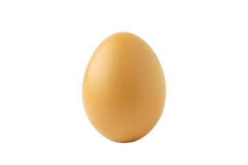 Chicken egg