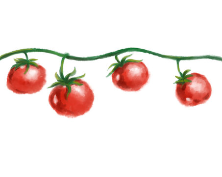 Tomato vine watercolor painting illustration fresh red vegetable illustration banner