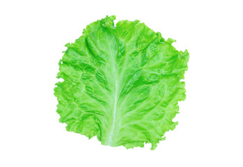 Salad leaf. Lettuce isolated on white background with clipping path