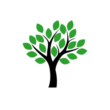 Tree icon isolated on white background