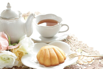 French sweet food, shell shape cake on white dish