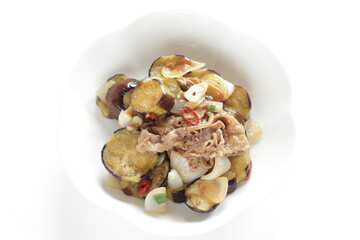 Chinese food, eggplant and beef stir fried with chili pepper