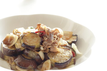 Chinese food, eggplant and beef stir fried with chili pepper