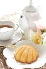 French sweet food, shell shape cake on white dish