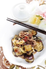 Chinese food, eggplant and beef stir fried with chili pepper
