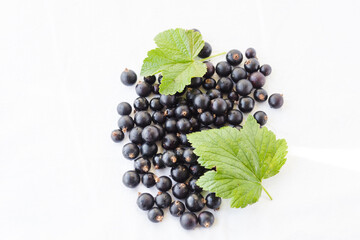 Fresh black currant with water drops and green leaves. Blackcurrants isolated on a white background with copy space for text closeup. Currant organic berries harvest - healthy eating and food concept
