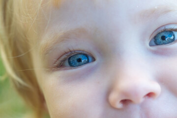 Portrait of a baby girl with blue eyes and blonde hair