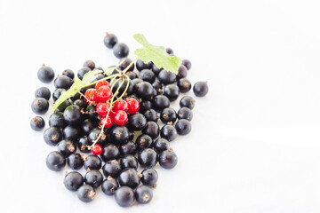 Mix of black and red currants with water drops and green leaves. Blackcurrants, redcurrants isolated on a white background closeup. Currant organic berries harvest - healthy eating and food concept