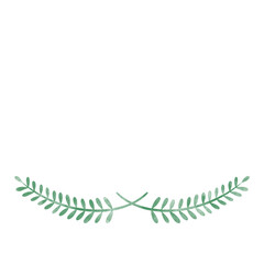 laurel wreath leaf in watercolor