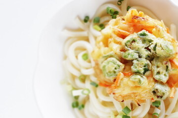 Japanese Okra and vegetable Tempura on Udon noodles