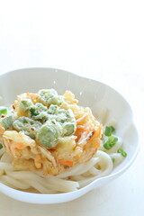 Japanese Okra and vegetable Tempura on Udon noodles