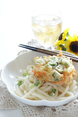 Japanese Okra and vegetable Tempura on Udon noodles