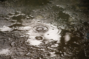 water drops in a puddle after rain in autumn, sepia