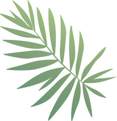 Watercolor tropical leaf.