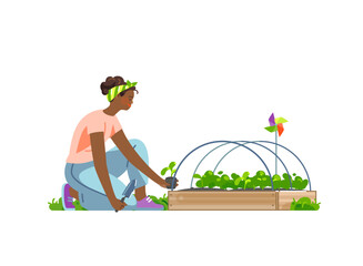 Smiling african woman plants out seedlings to wooden seedbed in vegetable garden. Concept for gardening or farming. Vector flat illustration - 522479604
