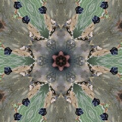 Mandala background