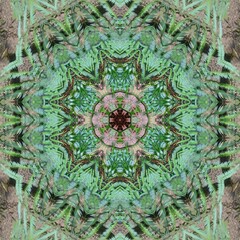 Mandala background