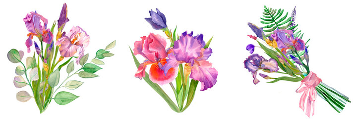 Fototapeta na wymiar Wildflower iris flower in a watercolor style isolated. Delicate bouquet of iris flowers and eucalyptus leaves. Watercolor. Purple iris. Mother's day, plants, floral design, botanical illustration
