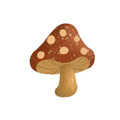 Mushroom on a White Background