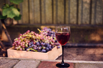 Still life. Glass of red wine and an assortment of ripe and juicy grapes in a wooden box. Growing organic fruits for sale in farmers' markets and. Concept of wine industry. Viticulture. Vine growing