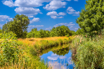 Sunny day at a small creek in the surrounding countryside of Berlin, Germany.