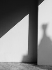 shadow on white wall with sunlight
