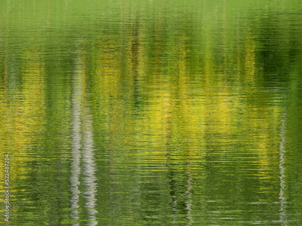 Sticker colorful water reflection of tree in the pond at spring