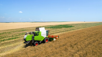 Obraz premium Aerial drone view of the harvester gathering crops