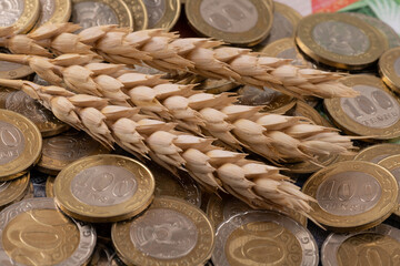 Dry ears of wheat on the background of Kazakhstani coins - tenge