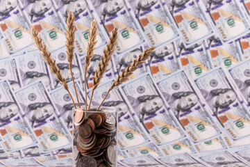 Dry ears of wheat in a glass with American coins on the background of 100 us dollars bills - obrazy, fototapety, plakaty