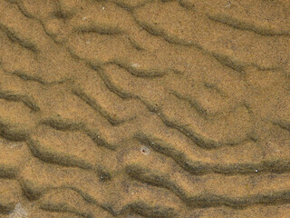 wave sand beach at low tide