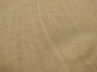 sand on the beach texture