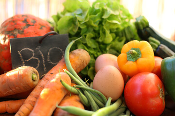 Organic vegetables food close-up