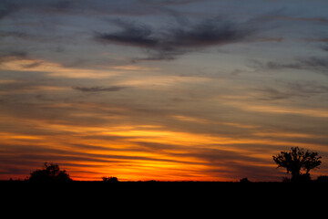 sunset in the desert