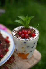 yogurt with mint leaves and red currant berries 