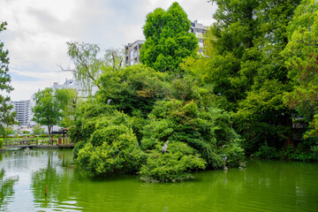 江東区東陽町の水のある公園の風景