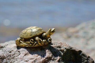 A metal turtle on the riverbank. An esoteric symbol.