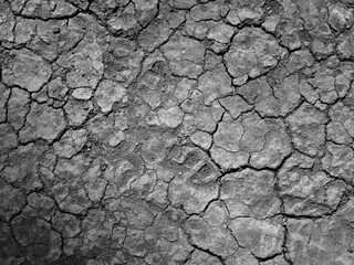 close up crack the dry ground texture, black and white style