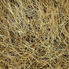 pile of dry grass texture
