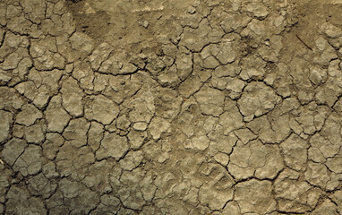 dirt ground with crack of dry season