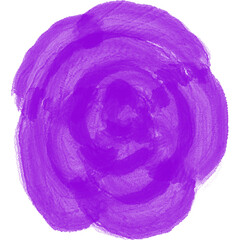 purple rose flower watercolor