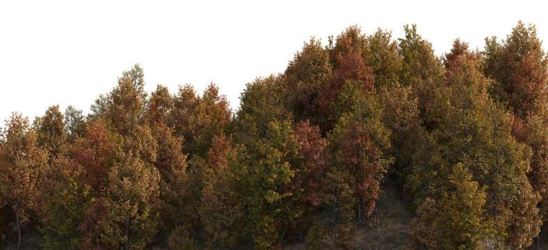 Trees and grass Autumn on a transparent background