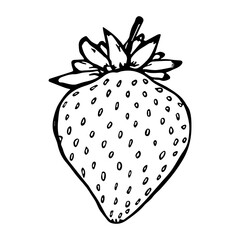 Vector strawberry clipart. Hand drawn berry icon. Fruit illustration. For print, web, design, decor, logo.