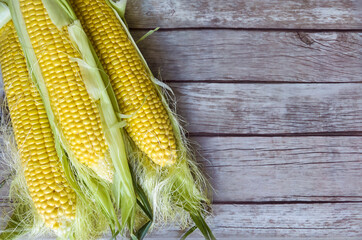 Raw Corn on a Wooden Background 