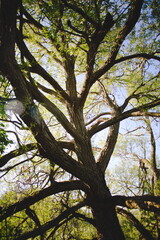 Presquile Provincial Park in Ontario, Canada. 