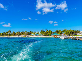 Boat trip Cancun Mexico to Island Mujeres Contoy Whale shark.