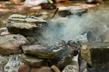 Bonfire in the forest