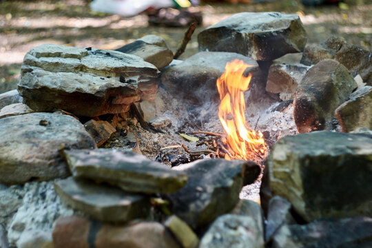 Bonfire in the forest