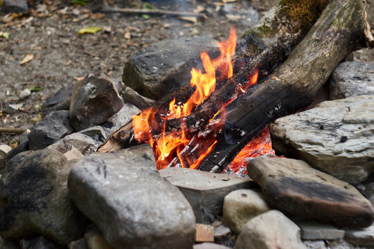 Bonfire in the forest