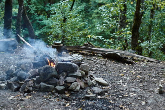 Bonfire in the forest